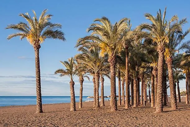 Apartamento Carole PLAYA Bajondillo Torremolinos Beach - PLAYA A 30 SEGUNDOS - Wifi - Parking - Terraza Apartamento España